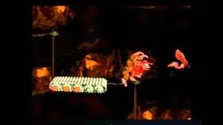 Учебное пособие по птицеводству