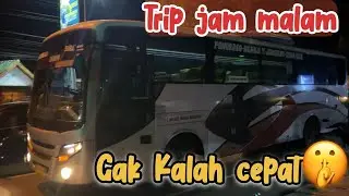 NGETRIP BERSAMA NEO HARAPAN‼️bus ex Mira model lawas mesin tetap eksis jalanan.
