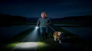 Just Walking My Dog | The Paddy Field