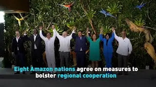 Eight Amazon nations agree on measures to bolster regional cooperation