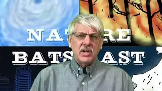 Science Snippets: Arctic-Boreal Zone Carbon Stocks Poorly Understood, Along with Fire's Role