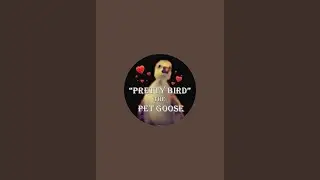 Pretty Bird the Pet Goose & Friends&reg; is live!