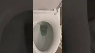 Rare Newer Washdown Toilet