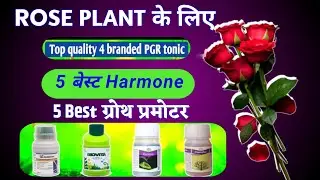 5 बेस्ट Harmon ROSE PLANT के लिए 5 बेस्ट प्लान्ट ग्रोथ रेगुलेटर PGR