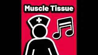 &ldquo;Muscle Tissue&rdquo; - A song about the muscles