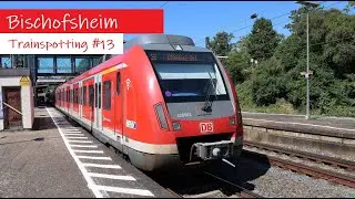 Trainspotting #13 - Bischofsheim - G&uuml;terz&uuml;ge und S-Bahnen mit BR 152 185 193 294 430 1440