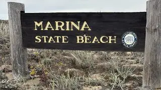 Wave Therapy: A Mindful Walk on the Beach #WaveTherapy #MindfulWalk #BeachVibes #MarinaBeach