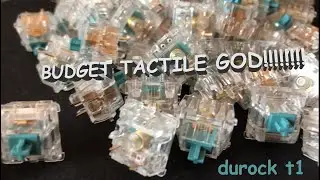 BUDGET TACTILE GOD &mdash; Durock T1 Unboxing and Sound Test
