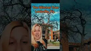 The Witches Tree of  Louisville, Ky.