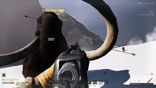 Icarus Mammoth