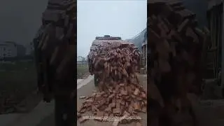 Efficient operation: Transportation and unloading of red bricks for construction