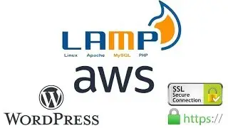 Launch a LAMP Stack and Install WordPress on AWS - Install WordPress