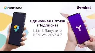 Одиночная Опт-Ин (Подписка) | ШАГ 1. Запустите кошелек NEM v2.4.7