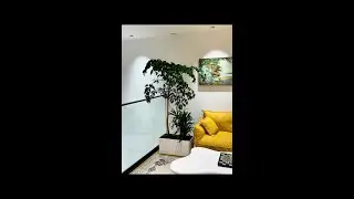 Create bonsai trees of Happy Trees with monthly watering #green plants #indoor plants #plant pots #D