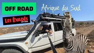 Off Road au milieu des animaux d'Afrique du Sud. #offroad #safari #225 
