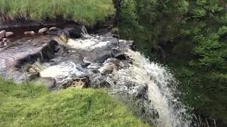 Hell Gill force 1