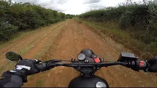 I TOOK MY SCRAMBLER OFF ROAD! MUTT MONGREL 125
