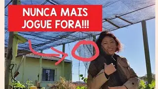 🌱SURPREENDENTE! Somente um peda&ccedil;o fez isso na horta (com erros de grava&ccedil;&atilde;o no final do video)