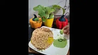 Mooli Paratha |easy Mooli Paratha recipe | Punjabi style Mooli Paratha 
