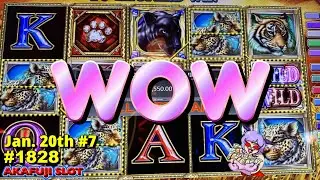 Jackpot Handpay Cats Slot Machine 👍👍👍