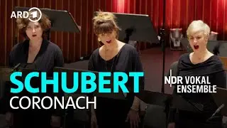 Schubert - Coronach | Julius Drake | Klaas Stok | NDR Vokalensemble