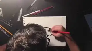 Drawing Baltimore Ravens Logo