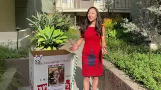 Toys for Tots - Carlo.Inc