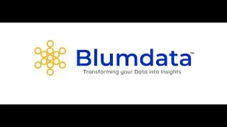 What We Do at Blumdata | Co-Founder Explains Our Services 🚀