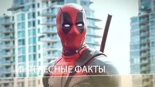 Интересные факты в фильме 