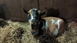 Cold Weather is Coming! How we keep warm