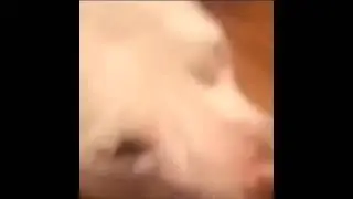 Come Get ya Some Crunchy Boy