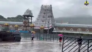 Current weather condition in Tirumala. The cyclone has caused heavy rain in Tirumala. #tirumalahills