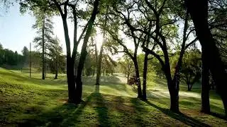 Pine Mountain Lake Golf Course through trees and over the lake