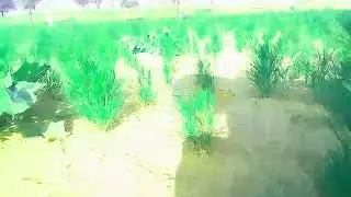 Gaon Ki Life 🌾 My First Day Vlog | Desi Mini Vlog #desiminivlogs #vlogging #gaonkilife #villagevlog 