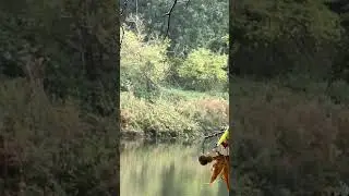 Snagged