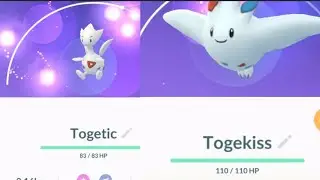 Togetic evolve into Togekiss for PvP cp1500 in Pokemon go