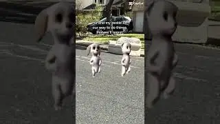 Barbie dogs dancing to ice spice in ha mood