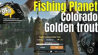 Fishing Planet | Colorado golden trout, spinner lure
