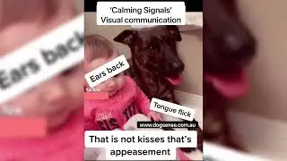 Stress signs in dogs with children