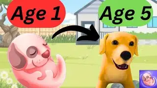 Dog life simulator gameplay🐶 | part 2 | #gameplay #doglifesimulator #androidgames #lifesimulation