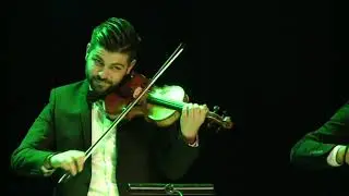 MILAN ZAVKOV - Cacino sa-sa i Bojanino oro © 2017