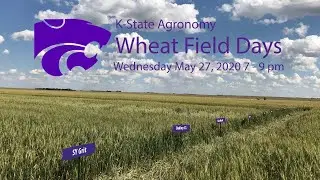 Wheat Field Days 2020 (Wednesday May 27, 2020 7:00 pm)