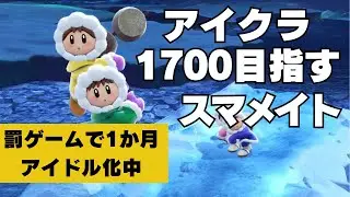 切断させバグ初めて喰らったのでメイト【スマブラSP】
