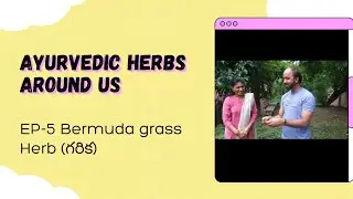 EP-5 Bermuda Grass Herb(గరిక)|Ayurvedic Herbs Around Us| Gita swadhyayam|