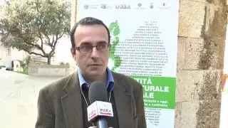 ESTETICA, IDENTIT&Agrave; E INDUSTRIA CULTURALE DEL CINEMA LOCALE - D. Dottorini, F. Rossi, C. Marabello