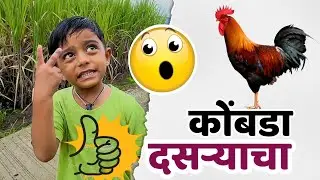 दसऱ्याला कोंबडा विकत आणला पण तो फरार झाला 🫢