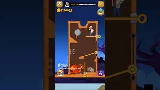 Home Pin Level 328