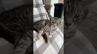 Не усложняйте
