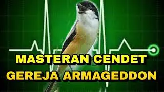 Masteran Cendet Tembakan Armageddon!!_ @sultanakbar