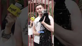 Best Dressed Dog at NYFW